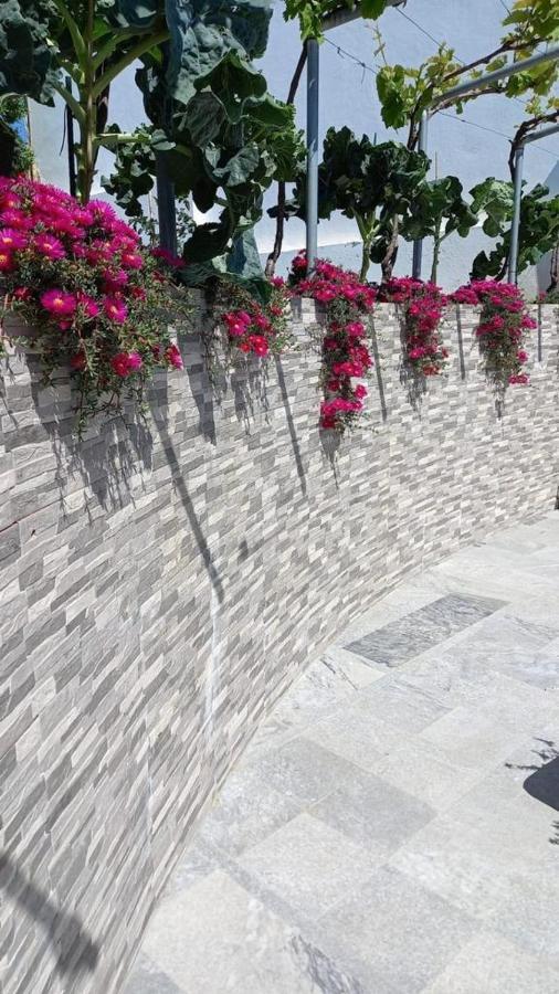 Villa Casa Dos Avos Alcaria da Serra Exterior foto