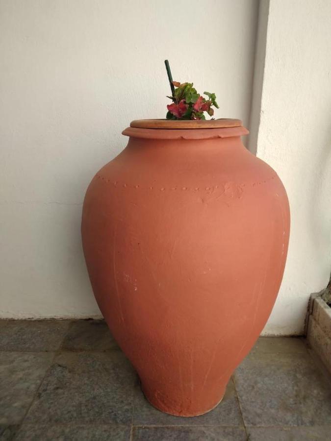 Villa Casa Dos Avos Alcaria da Serra Exterior foto